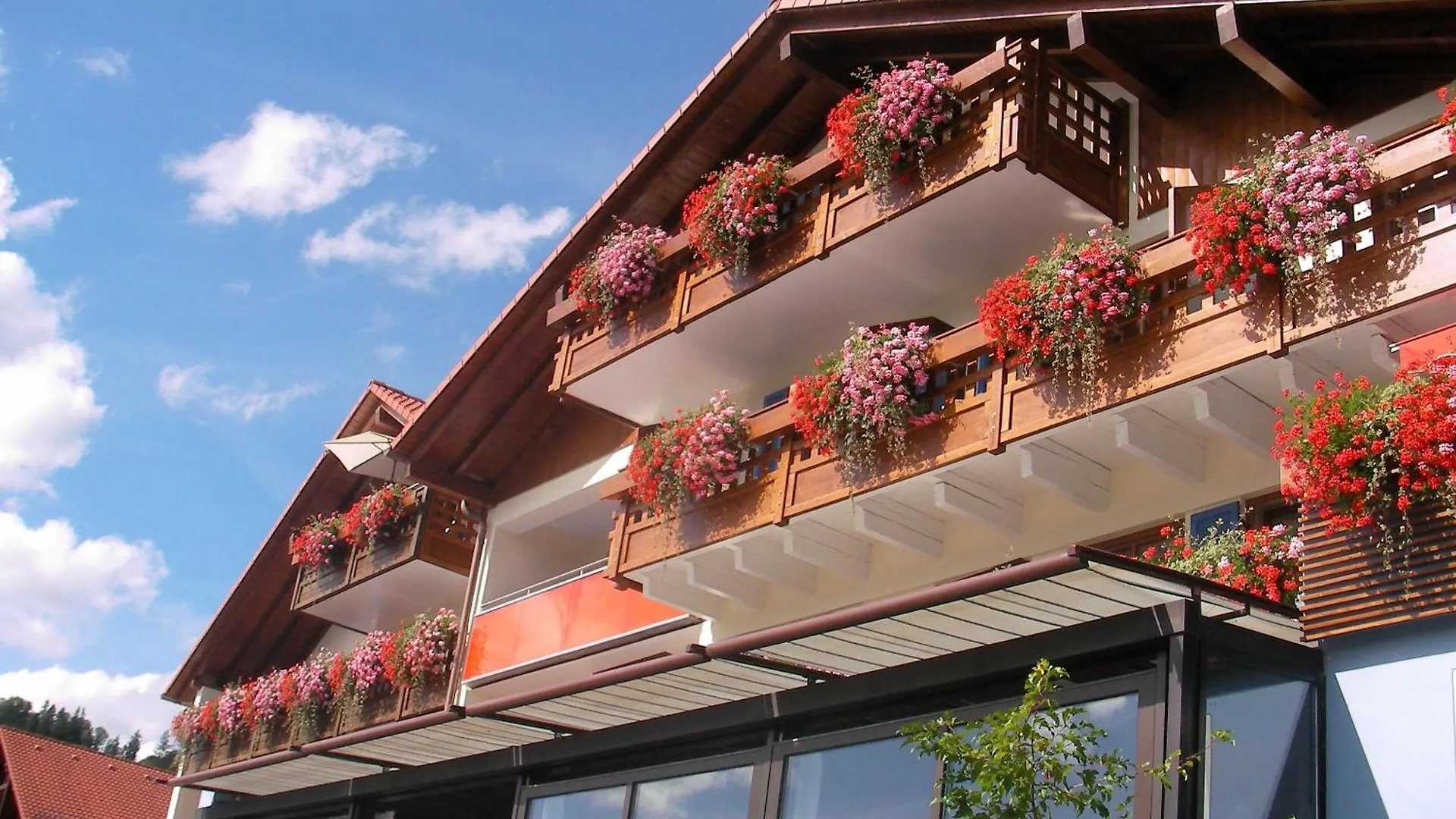 5 Familienhotels am Hopfensee, die wirklich überzeugen