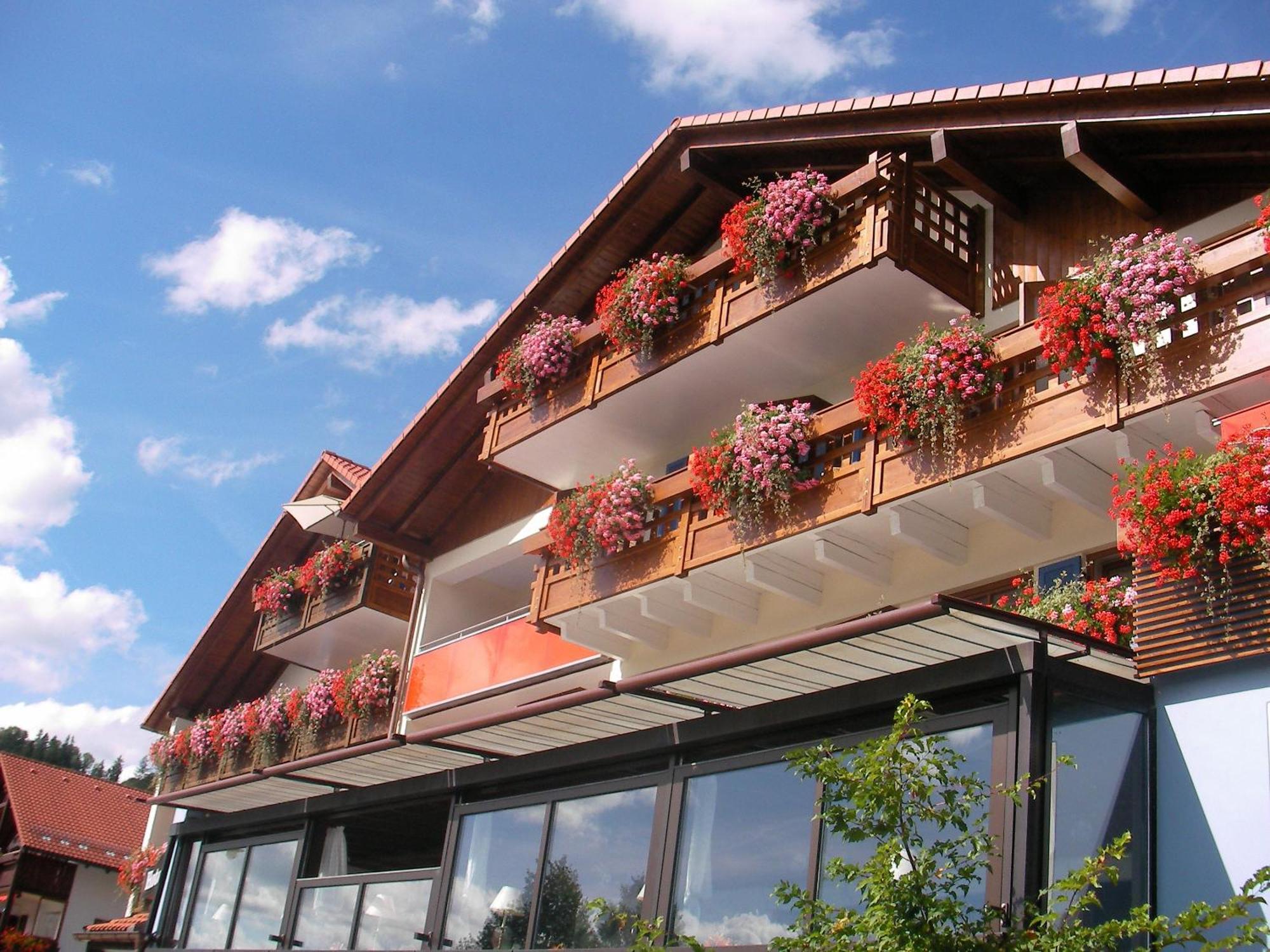 5 Familienhotels am Hopfensee, die wirklich überzeugen